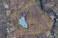 28649455