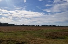 9820662