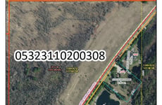 9979267