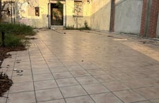 10204677