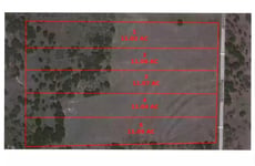 10754970