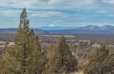 10780654