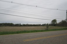 32305303