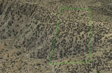 11466454