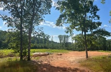 11595445