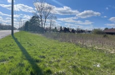 11626874