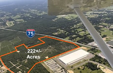 17446231