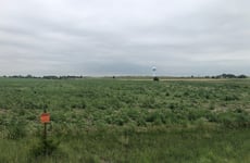 11825489