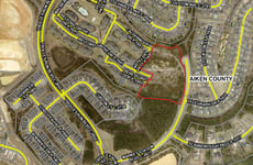 12494812