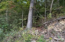 25418814