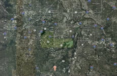 13496709