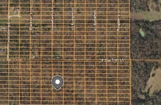 24137922