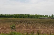 14625673