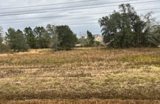 15464267