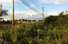 20125194