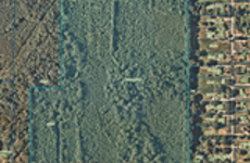 15069558