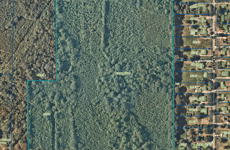 18549011