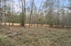 15194050