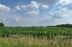 15350492