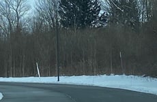 16496150