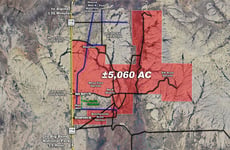 33768545