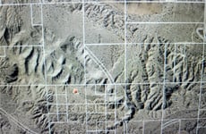 21558566
