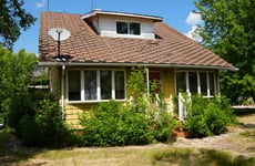 31368303