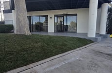 29548181