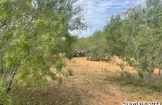 19726577