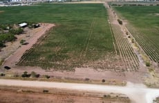 19974076