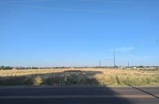 20059508