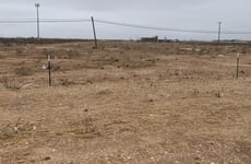 20075089