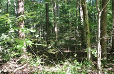 20120557