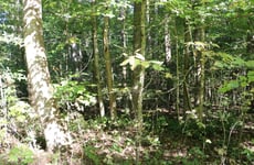 20120556