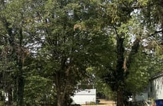 20199033