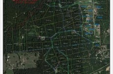 20265874