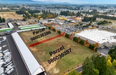 20524304