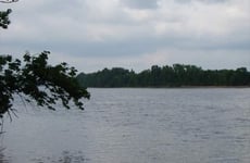 20617473