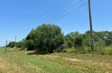 21115369