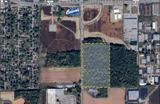 34395640