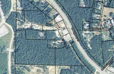 21469339