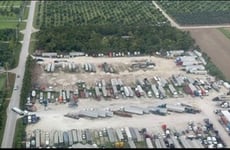 21295990