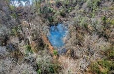 21598510