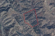 21598554