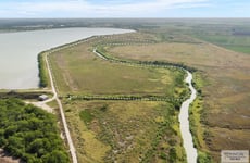 21628219
