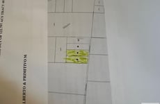 21629789