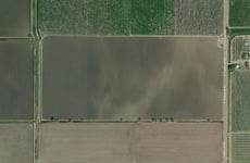 21638277