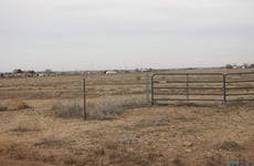 21665402