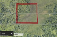 21677006