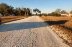 21756370